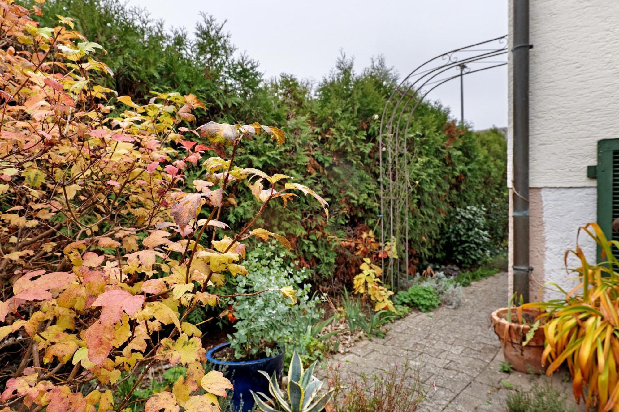 Sleep And Go Bed and Breakfast Mundelsheim Eksteriør billede